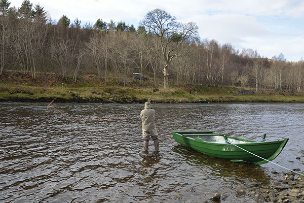 Double Spey 3