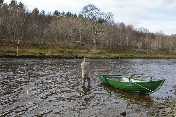 Double Spey 4