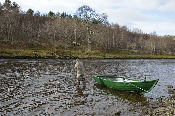 Double Spey 10
