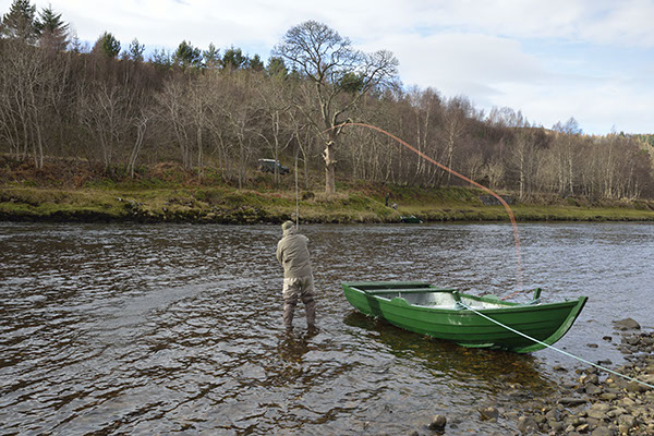 Double Spey 8