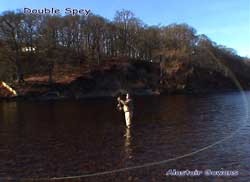 Double Spey cast