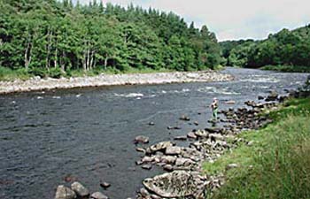 laggan