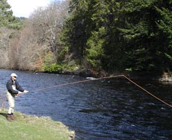 River Tay salmon schools at Kenmore Hotel